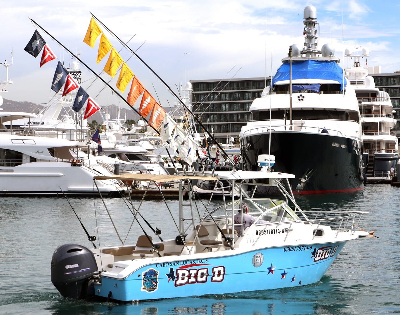 Cabo fishing fleet - Cabo Fishing Charters - FISHING CHARTERS