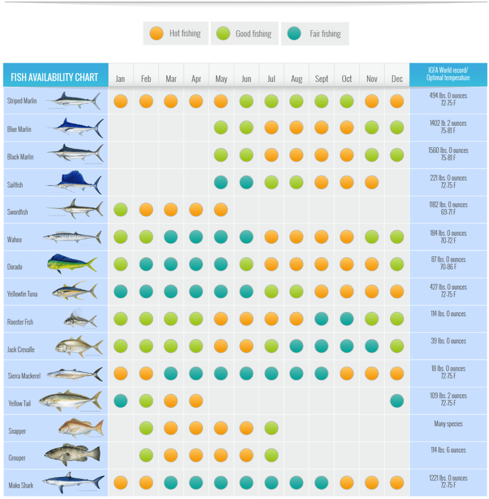 Cabo San Lucas Fishing Chart Cabo Fishing Charters