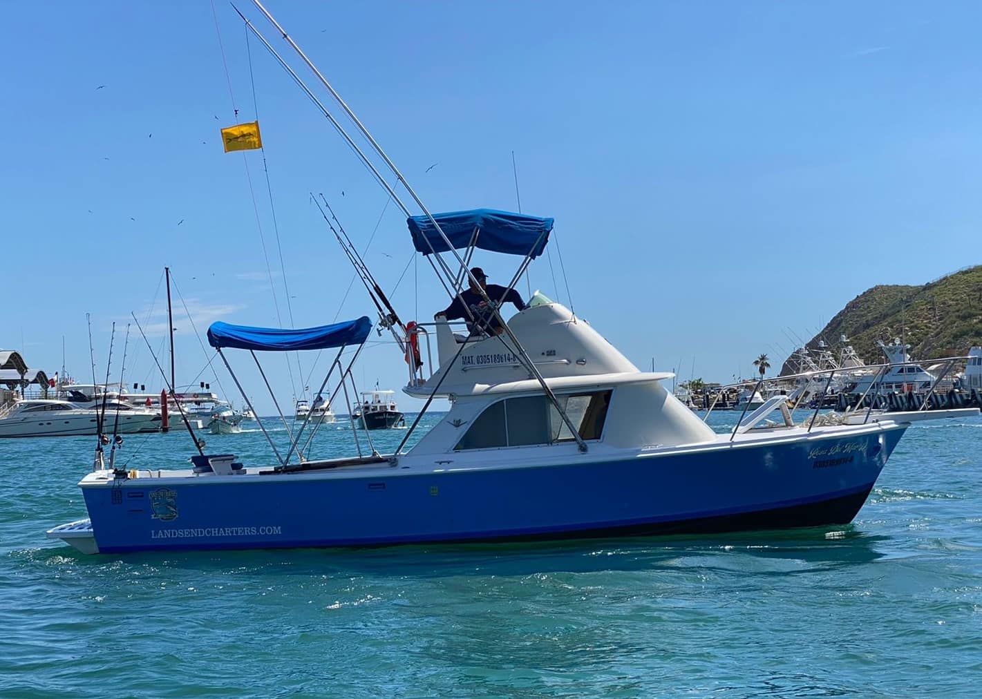 Cabo fishing fleet - Cabo Fishing Charters - FISHING CHARTERS